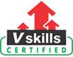 v-skills-logo