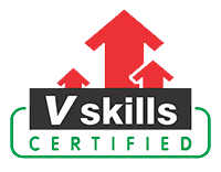 V Skills Logo